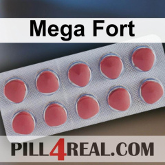 Mega Fort 805