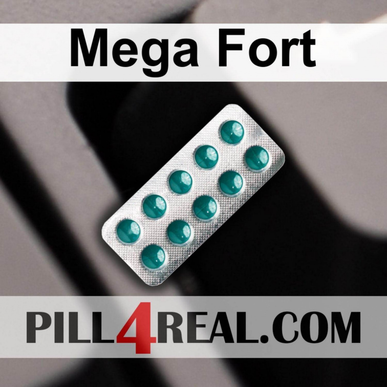 Mega Fort 827