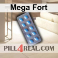 Mega Fort 857