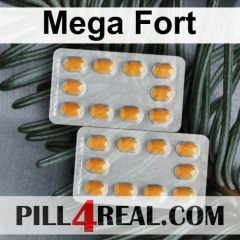 Mega Fort 976