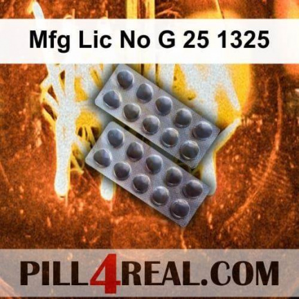 Mfg Lic No G 25 1325 020