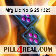 Mfg Lic No G 25 1325 084