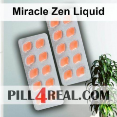 Miracle Zen Liquid 838
