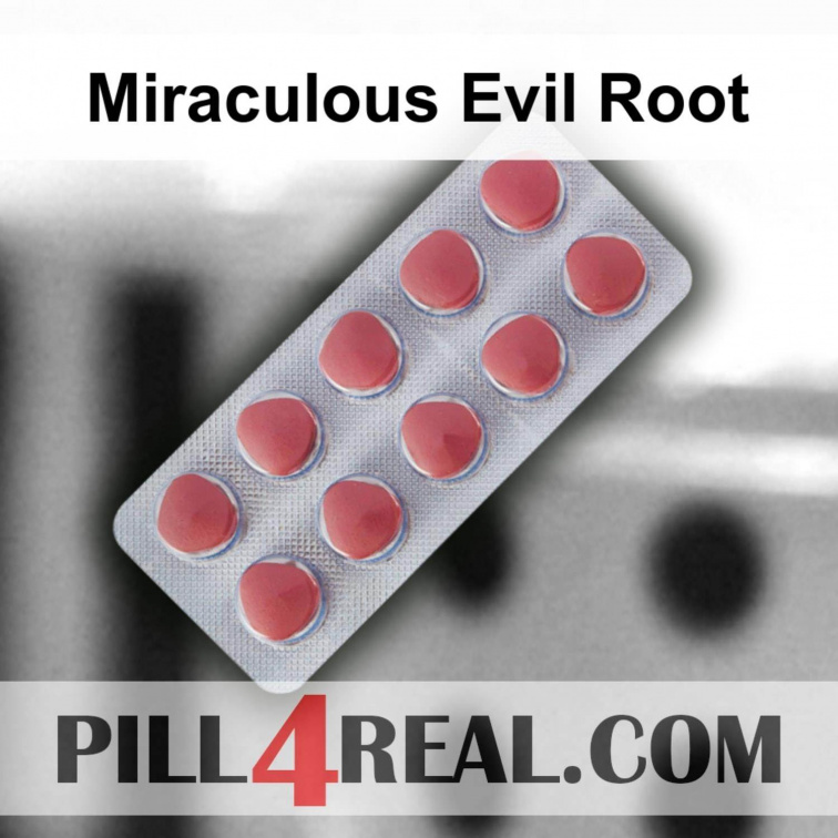 Miraculous Evil Root 098