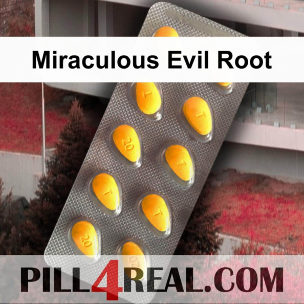 Miraculous Evil Root 152