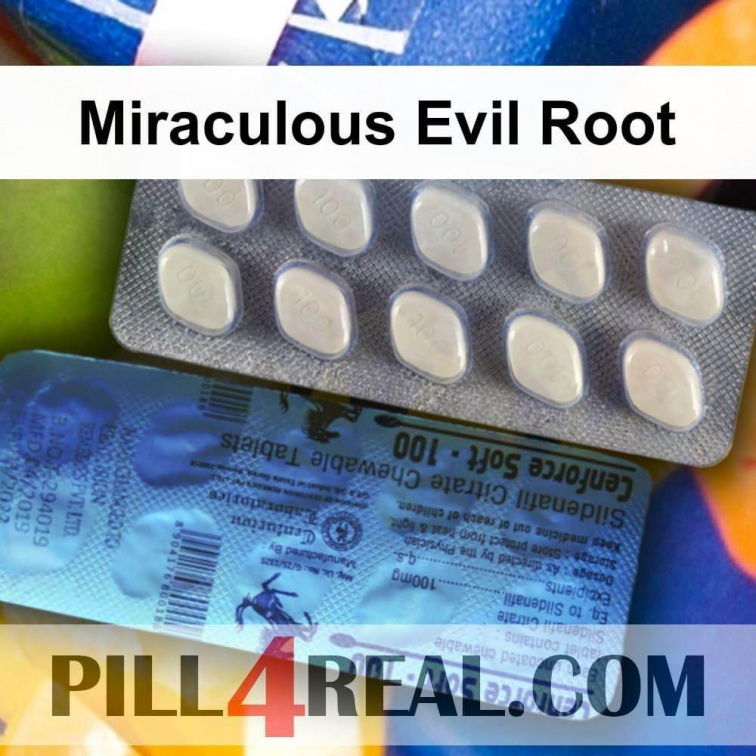 Miraculous Evil Root 247