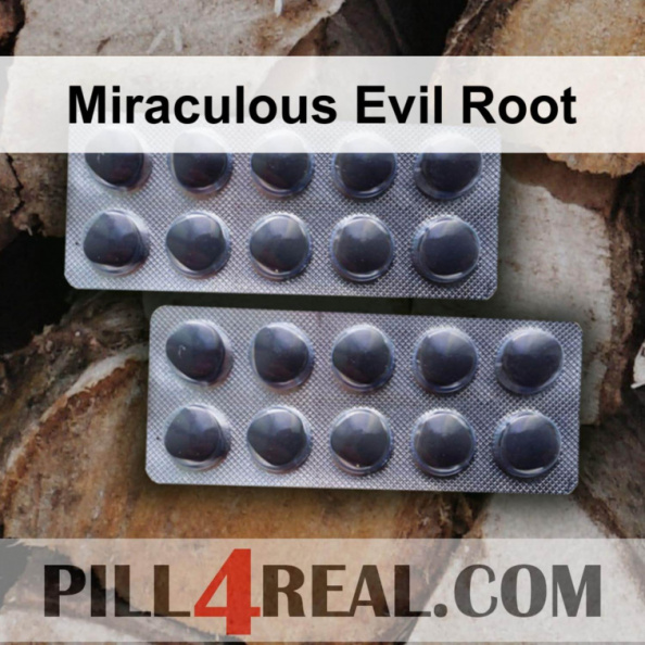 Miraculous Evil Root 367