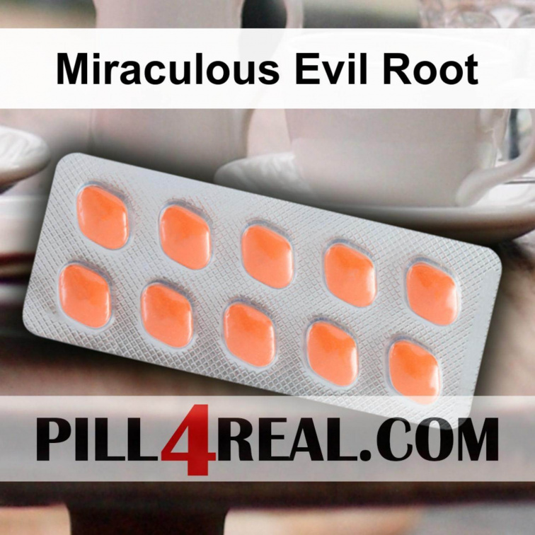 Miraculous Evil Root 408