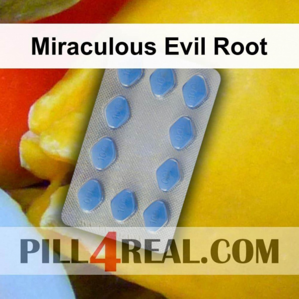 Miraculous Evil Root 429