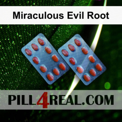 Miraculous Evil Root 537