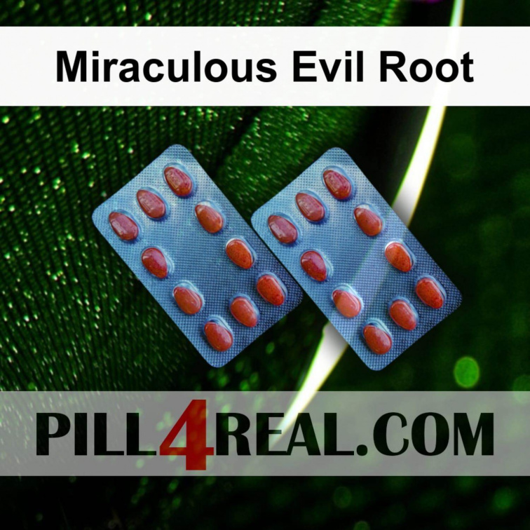 Miraculous Evil Root 537
