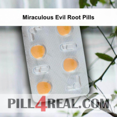 Miraculous Evil Root Pills 273