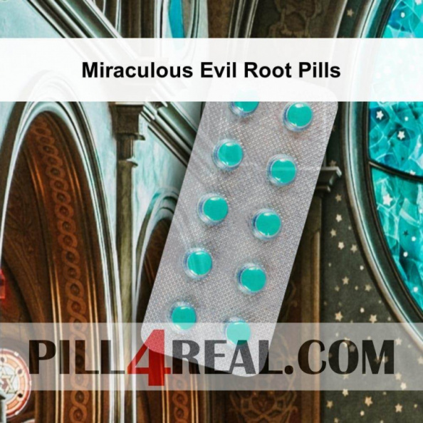 Miraculous_Evil_Root_Pills_836.jpg