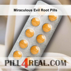 Miraculous Evil Root Pills 894