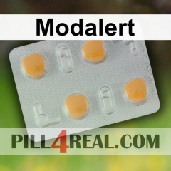 Modalert 979