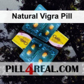 Natural Vigra Pill 207