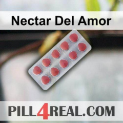 Nectar Del Amor 344