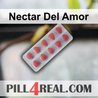 Nectar Del Amor 344