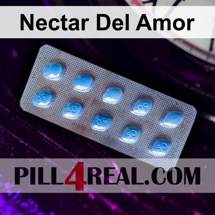 Nectar Del Amor 532