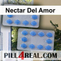 Nectar Del Amor 718