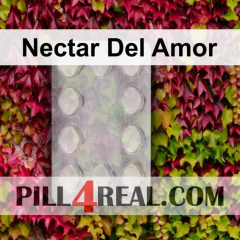 Nectar Del Amor 781