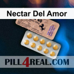 Nectar Del Amor 913