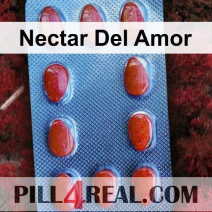 Nectar Del Amor 921