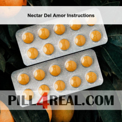Nectar Del Amor Instructions 297