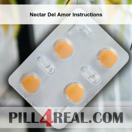 Nectar Del Amor Instructions 333