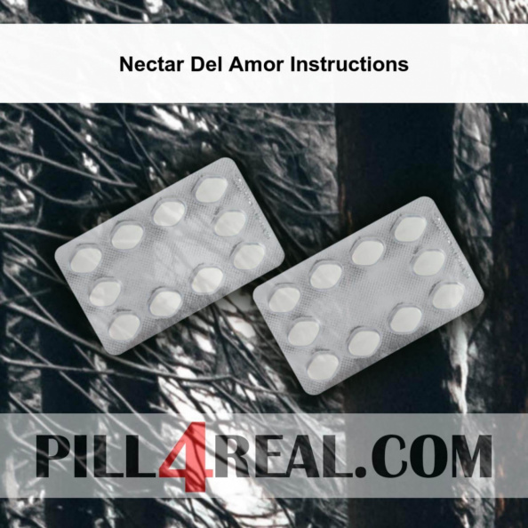 Nectar Del Amor Instructions 467