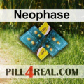 Neophase 077