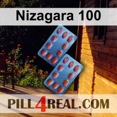 Nizagara 100 223