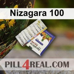 Nizagara 100 287