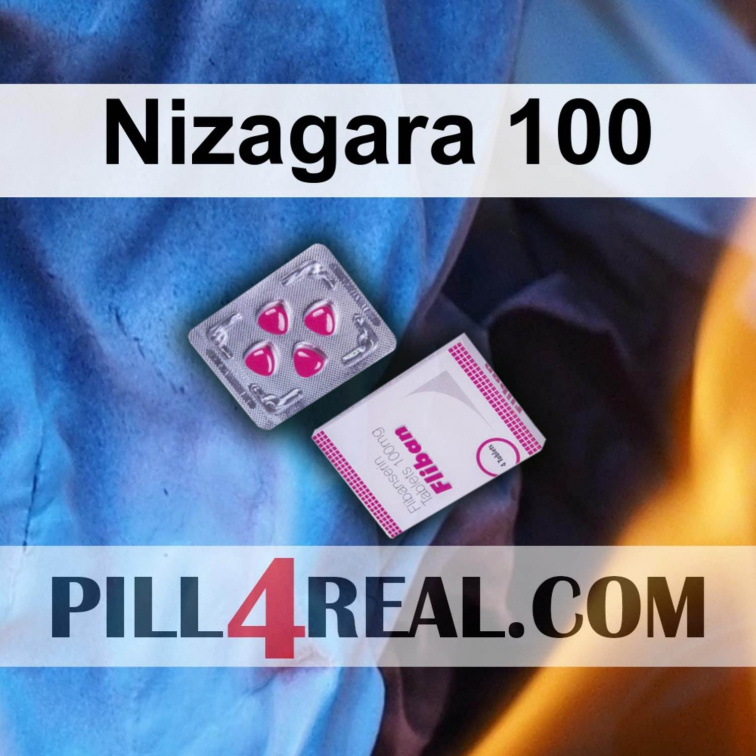 Nizagara 100 310