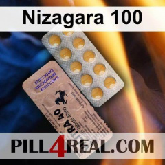 Nizagara 100 877