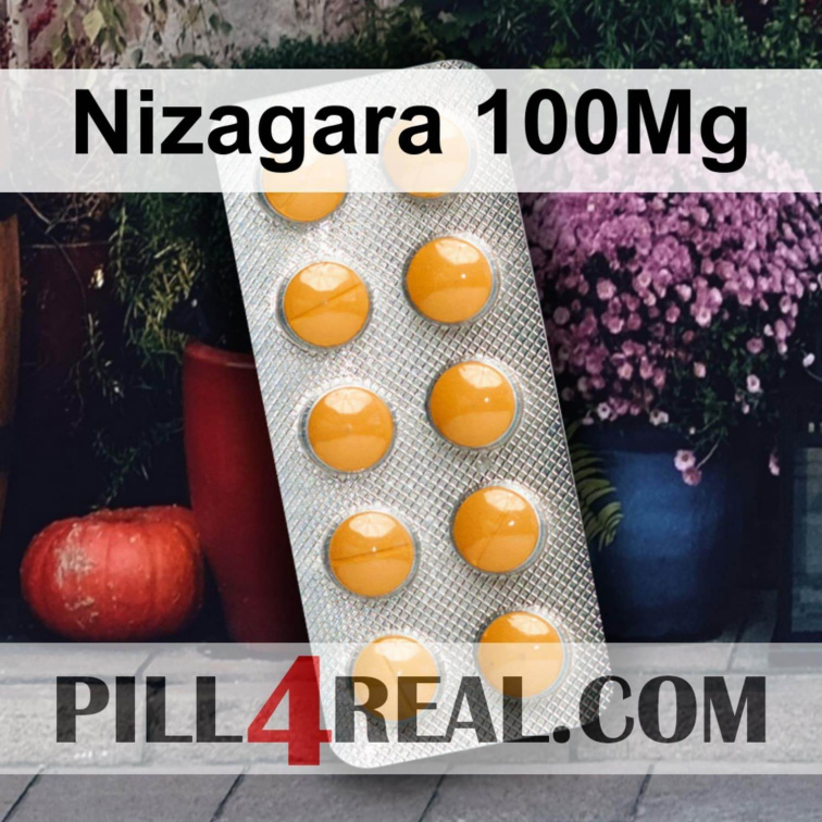Nizagara 100Mg 018