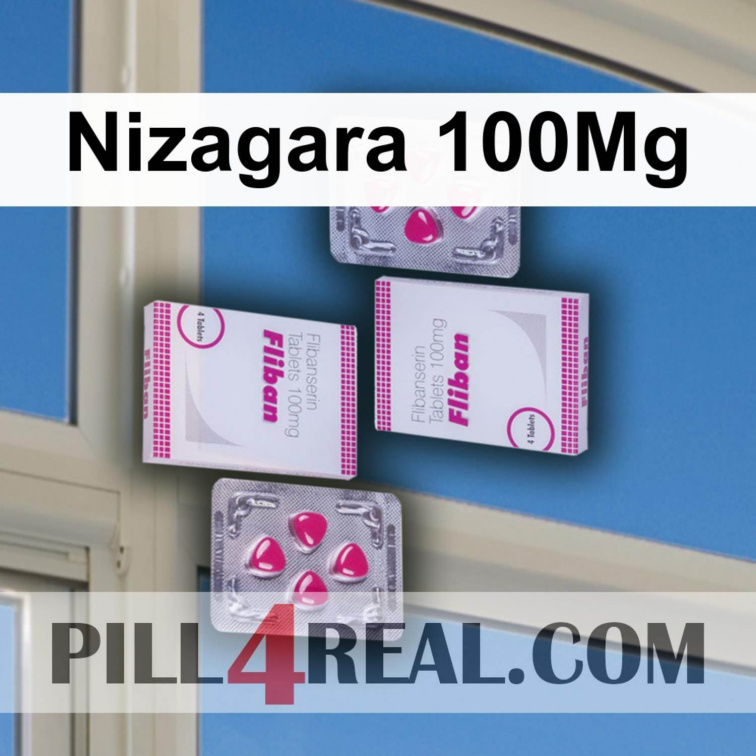 Nizagara 100Mg 273