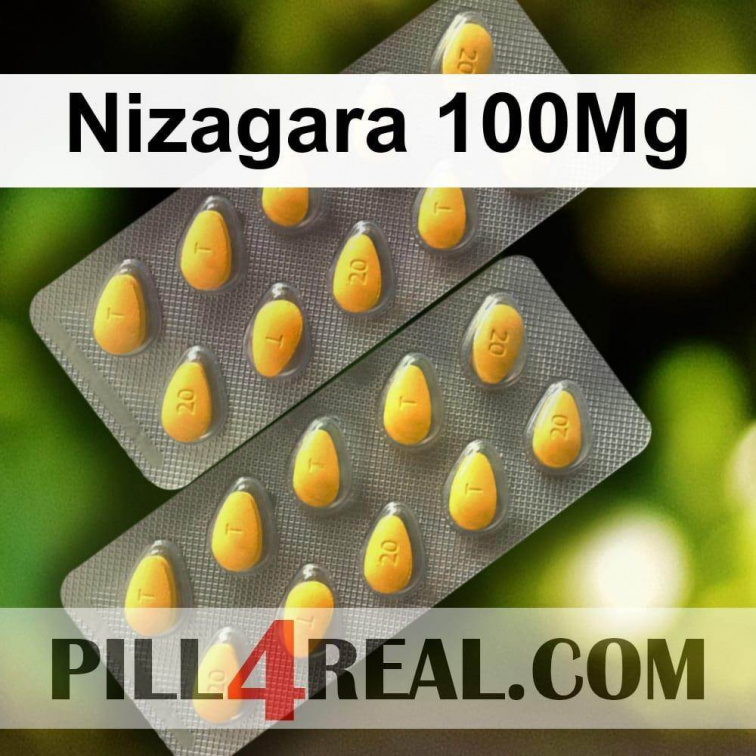 Nizagara 100Mg 490