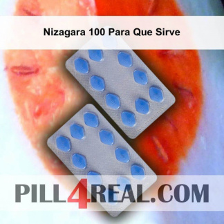 Nizagara 100 Para Que Sirve 172