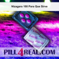 Nizagara 100 Para Que Sirve 193