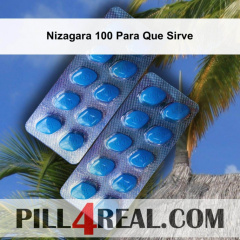 Nizagara 100 Para Que Sirve 247