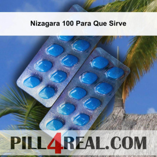 Nizagara 100 Para Que Sirve 247