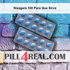 Nizagara 100 Para Que Sirve 269