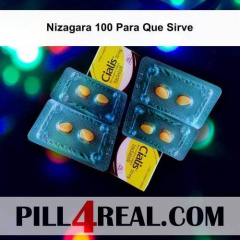 Nizagara 100 Para Que Sirve 287