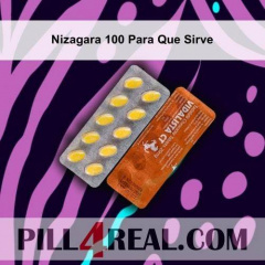 Nizagara 100 Para Que Sirve 313