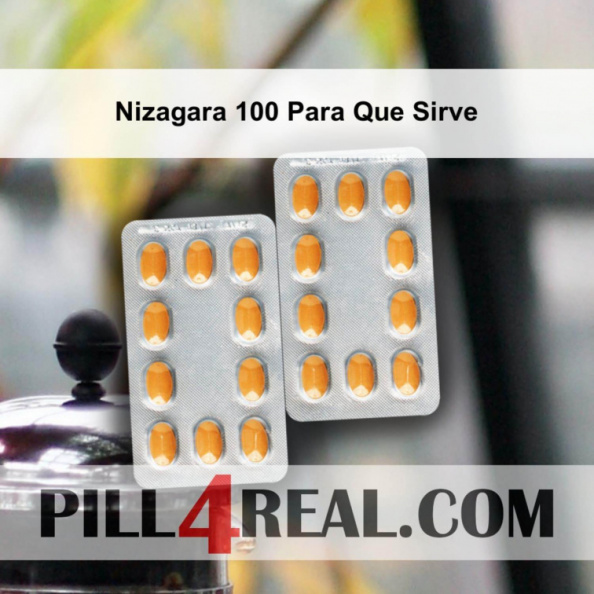 Nizagara 100 Para Que Sirve 317