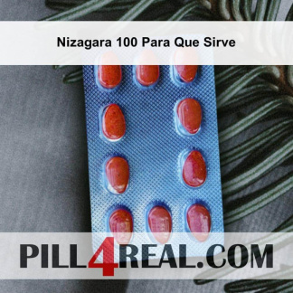 Nizagara 100 Para Que Sirve 585