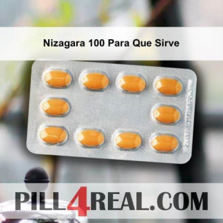 Nizagara 100 Para Que Sirve 605