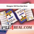 Nizagara 100 Para Que Sirve 704