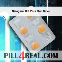 Nizagara 100 Para Que Sirve 740